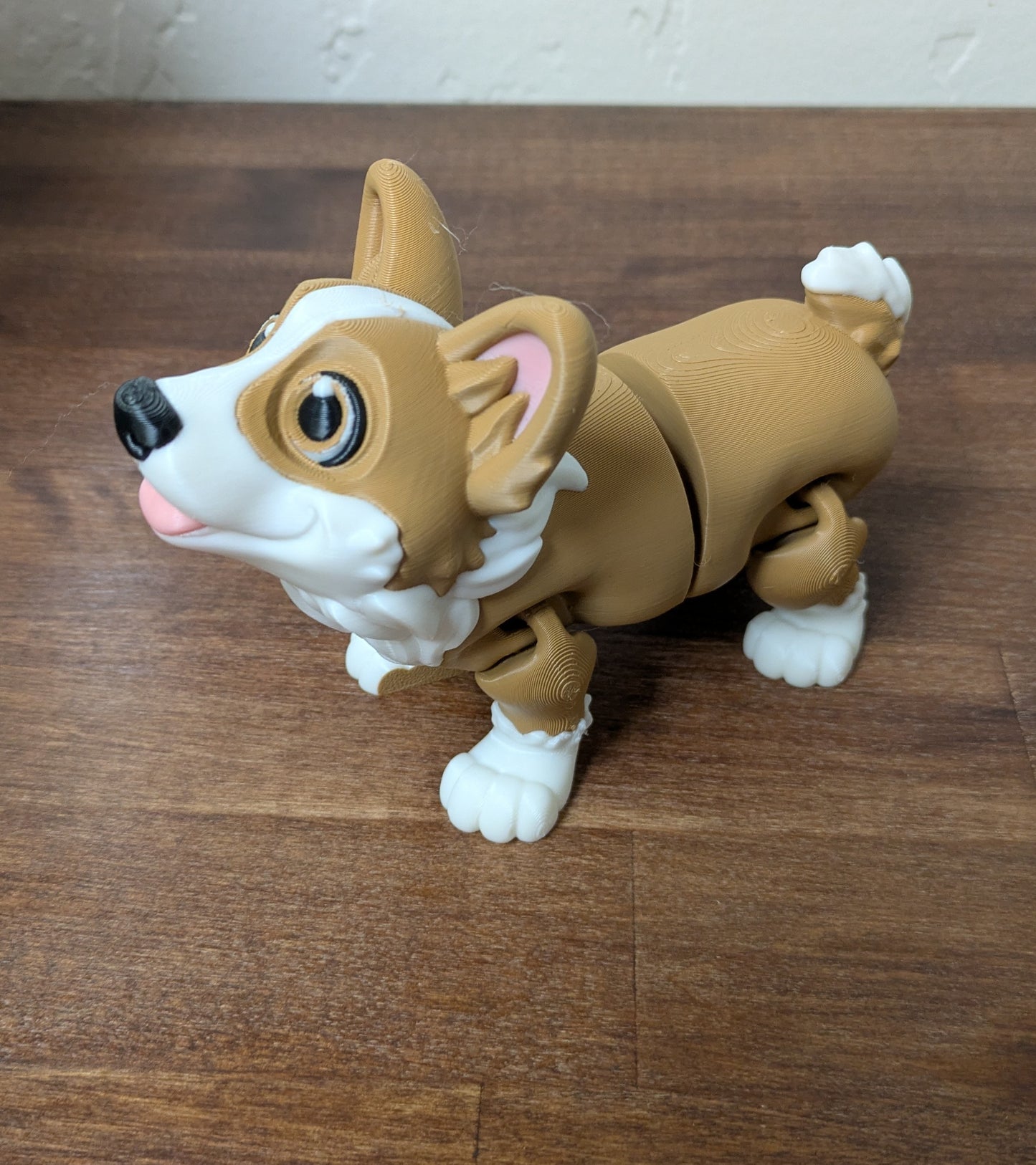 Corgi
